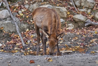 Parc Omega   |   2  /  5    |